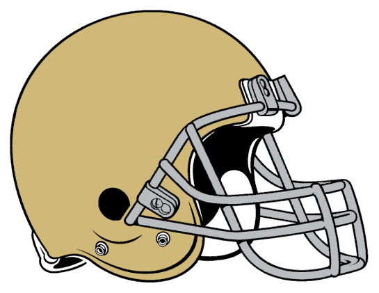 Notre Dame Fighting Irish 1964-Pres Helmet Logo diy iron on heat transfer